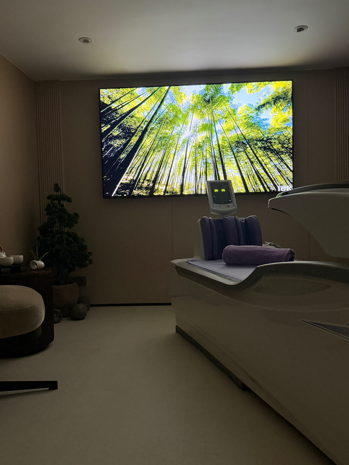 Aquatizer treatment room with bamboo forest projection and therapy bed